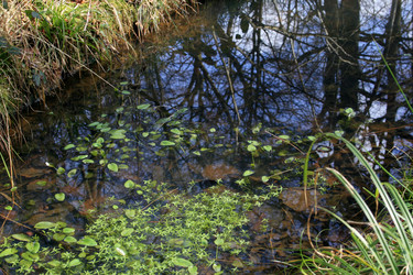 Similar image 8027767