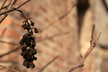 Similar image 8027770