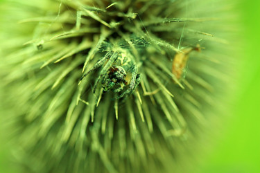 Similar image 8027774