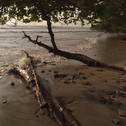 Similar image 8027775