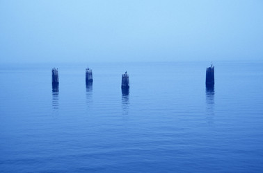 Similar image 8027785