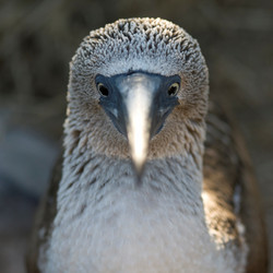 Similar image 8027786