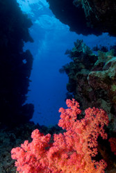 Similar image 8027799