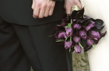 Similar image 8027812