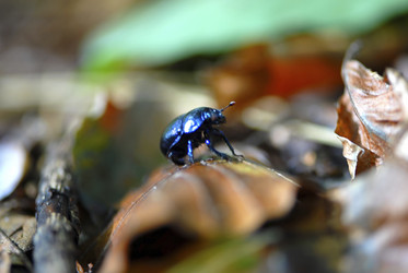 Similar image 8027829