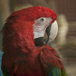 Similar image 8027840