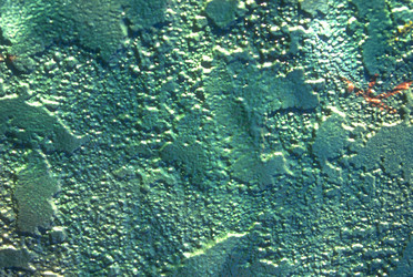 Similar image 8027850