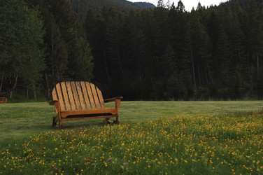 Similar image 8027854