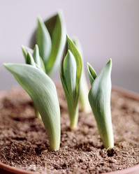 Similar image 8027860