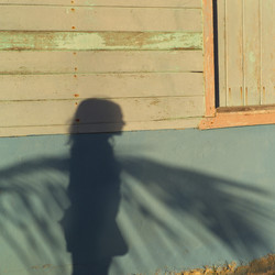 Similar image 8027863