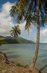 Similar image 8027864