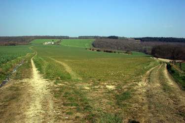 Similar image 8027866