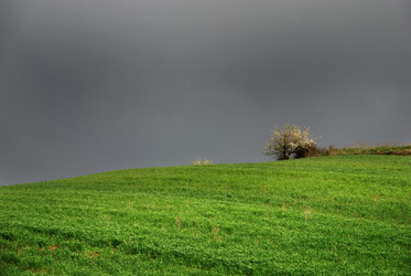 Similar image 8027868