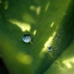 Similar image 8027884