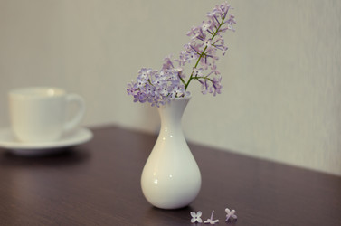 Similar image 8027890