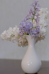 Similar image 8027892