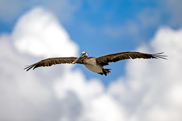 Similar image 8027897