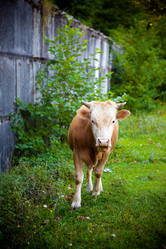 Similar image 8027902