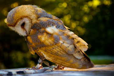 Similar image 8027905