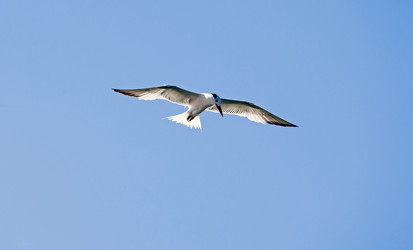 Similar image 8027927