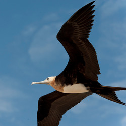 Similar image 8027951