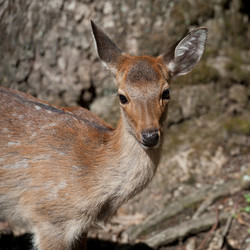 Similar image 8027960