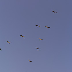 Similar image 8027964