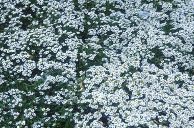 Similar image 8027967