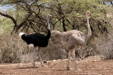 Similar image 8027976