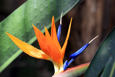 Similar image 8027977