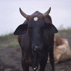 Similar image 8027981