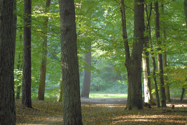 Similar image 8027983