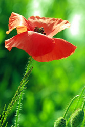 Similar image 8027993