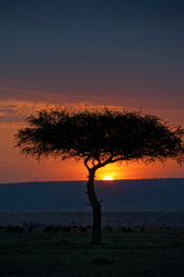 Similar image 8028000