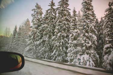 Similar image 8028007