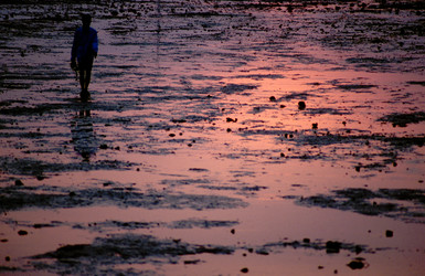 Similar image 8028013