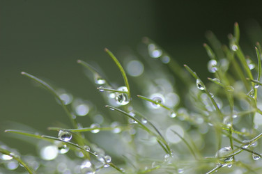 Similar image 8028018