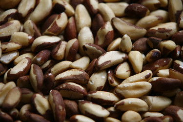 Similar image 8028019