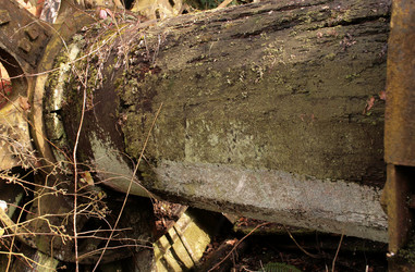 Similar image 8028020