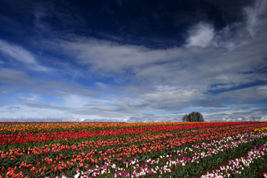 Similar image 8028021