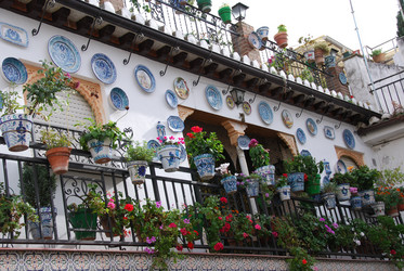 Similar image 8028023