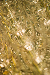 Similar image 8028029