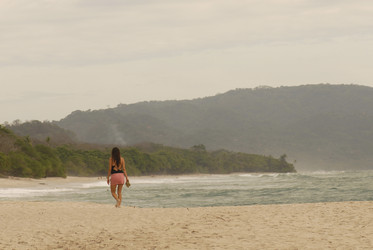 Similar image 8028034