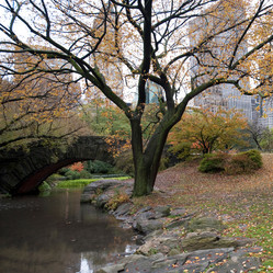 Similar image 8028035