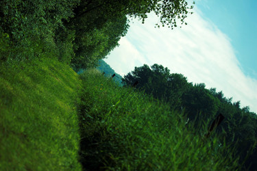 Similar image 8028036