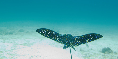 Similar image 8028039