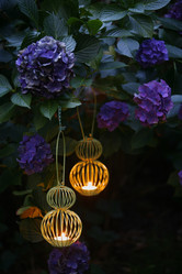 Similar image 8028080