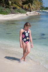 Similar image 8028081