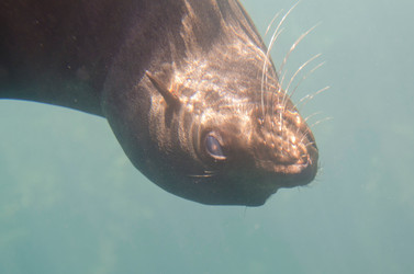 Similar image 8028082