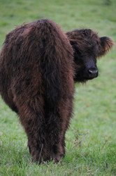 Similar image 8028086